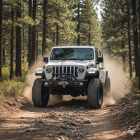 ./JeepWrangler_1771302353353